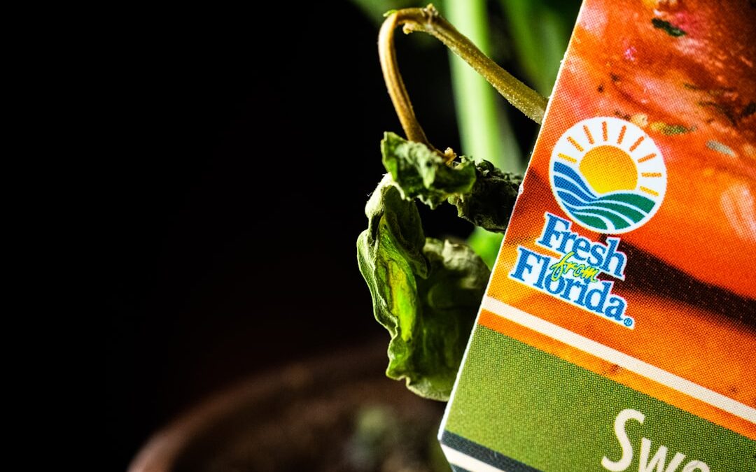 Stevia vs Suiker: 10 Verschillen Die Je Moet Kennen