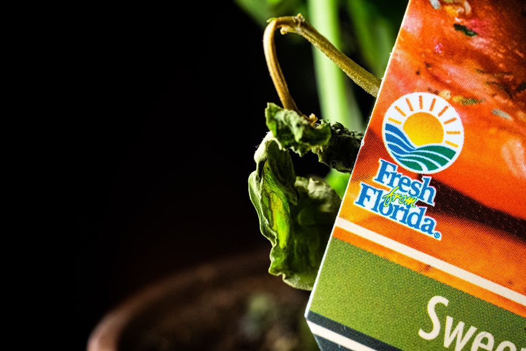 stevia vs suiker - Stevia vs Suiker: 10 Verschillen Die Je Moet Kennen